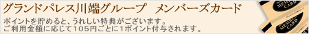 �O�����h�p���X��[�O���[�v�@�����o�[�Y�J�[�h